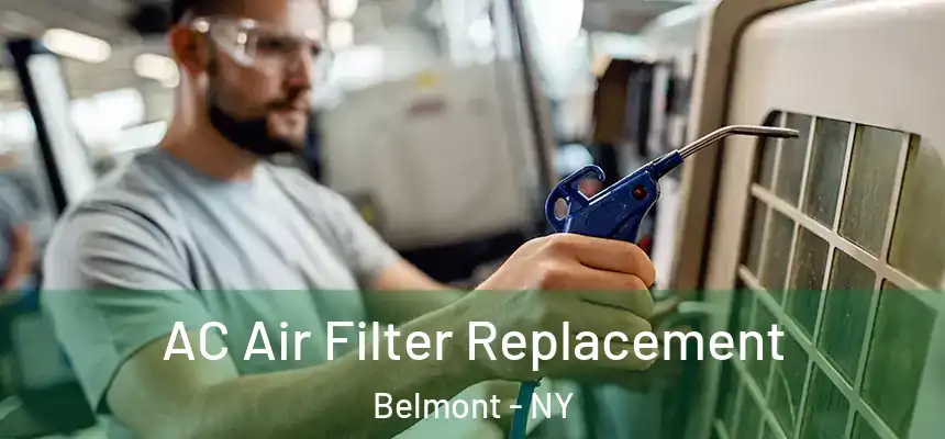  AC Air Filter Replacement Belmont - NY
