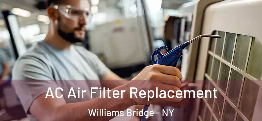AC Air Filter Replacement Williams Bridge - NY