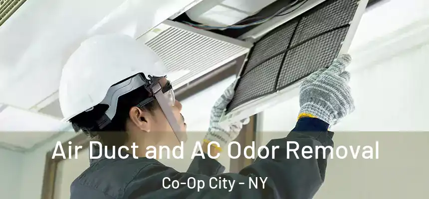  Air Duct and AC Odor Removal Co-Op City - NY