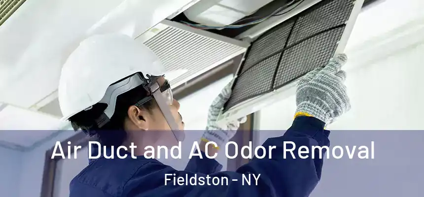 Air Duct and AC Odor Removal Fieldston - NY