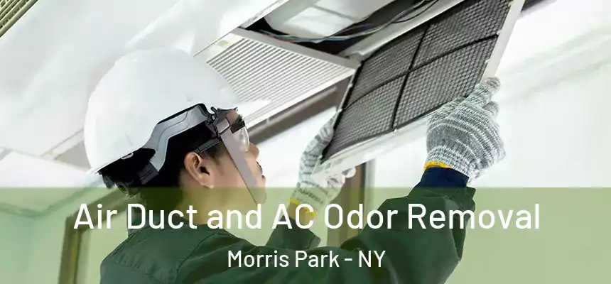 Air Duct and AC Odor Removal Morris Park - NY