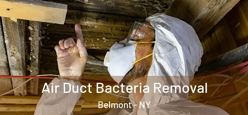 Air Duct Bacteria Removal Belmont - NY