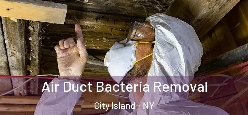 Air Duct Bacteria Removal City Island - NY