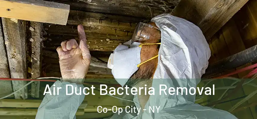  Air Duct Bacteria Removal Co-Op City - NY