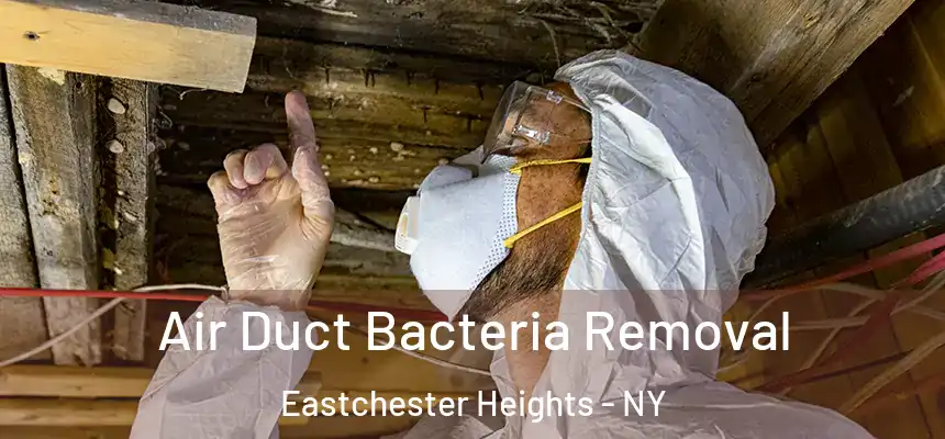 Air Duct Bacteria Removal Eastchester Heights - NY