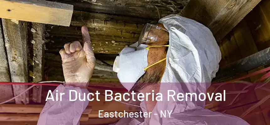 Air Duct Bacteria Removal Eastchester - NY