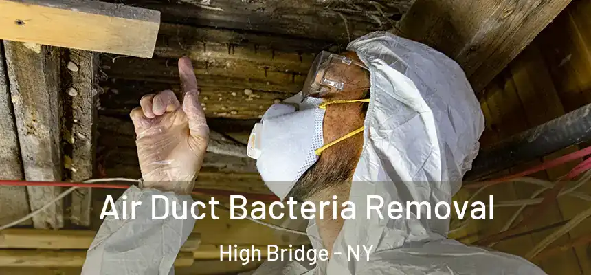 Air Duct Bacteria Removal High Bridge - NY