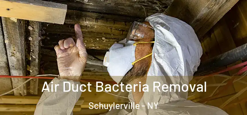  Air Duct Bacteria Removal Schuylerville - NY