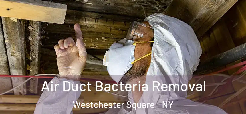 Air Duct Bacteria Removal Westchester Square - NY