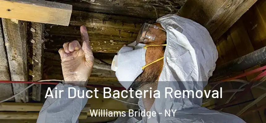 Air Duct Bacteria Removal Williams Bridge - NY