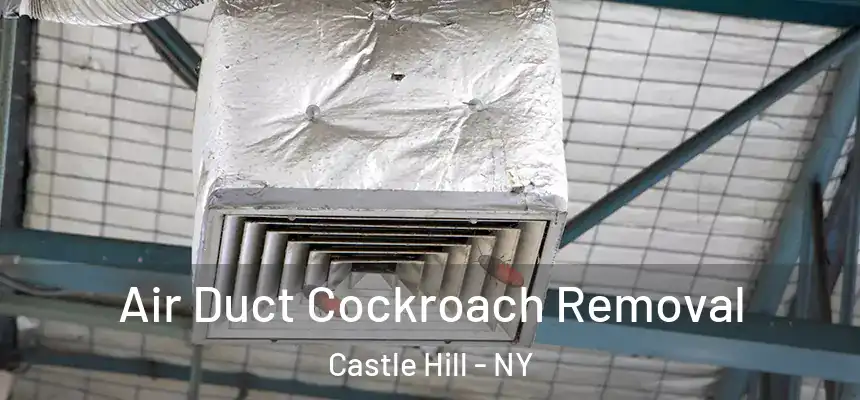 Air Duct Cockroach Removal Castle Hill - NY