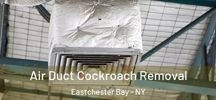 Air Duct Cockroach Removal Eastchester Bay - NY