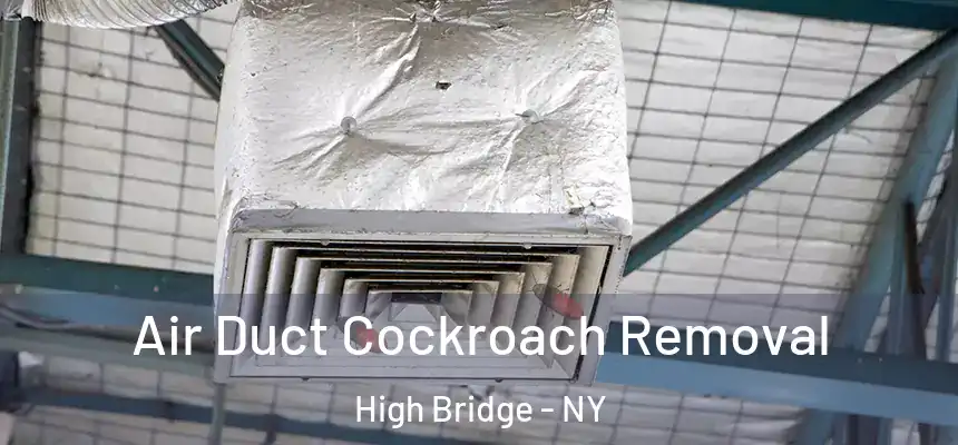 Air Duct Cockroach Removal High Bridge - NY