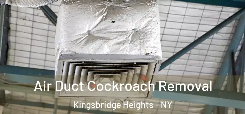 Air Duct Cockroach Removal Kingsbridge Heights - NY