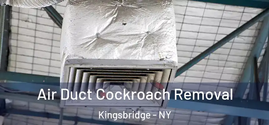 Air Duct Cockroach Removal Kingsbridge - NY