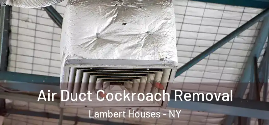 Air Duct Cockroach Removal Lambert Houses - NY