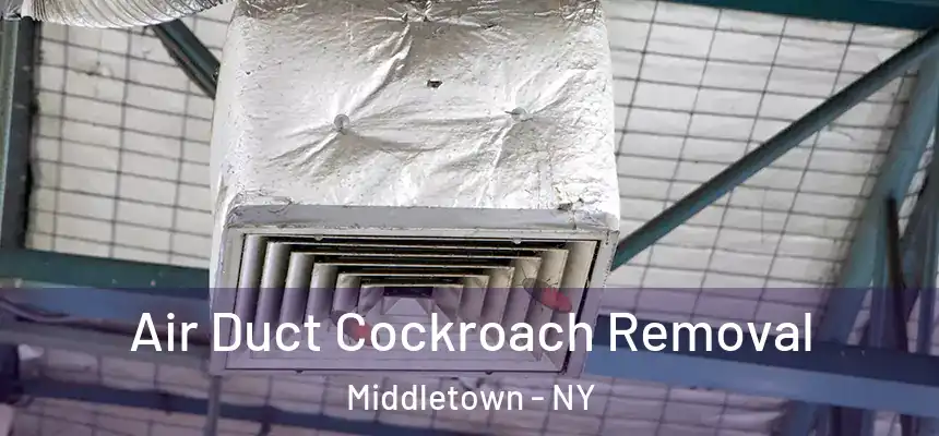 Air Duct Cockroach Removal Middletown - NY
