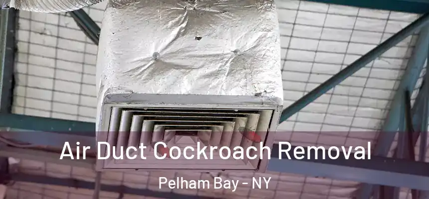  Air Duct Cockroach Removal Pelham Bay - NY