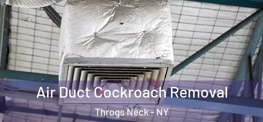 Air Duct Cockroach Removal Throgs Neck - NY