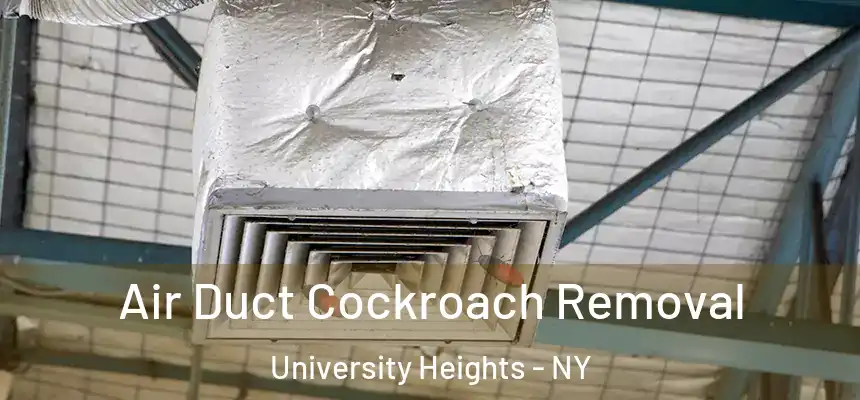 Air Duct Cockroach Removal University Heights - NY