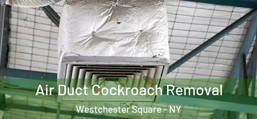 Air Duct Cockroach Removal Westchester Square - NY