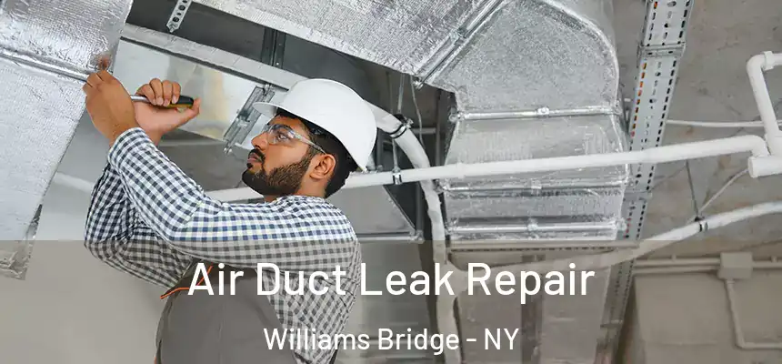 Air Duct Leak Repair Williams Bridge - NY