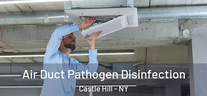  Air Duct Pathogen Disinfection Castle Hill - NY