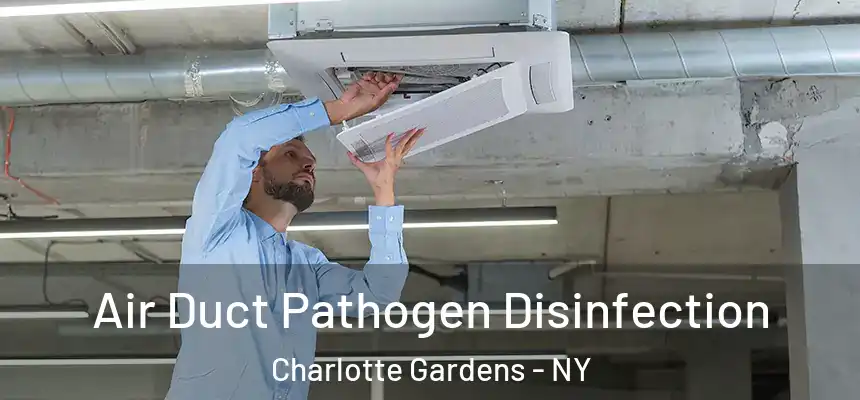 Air Duct Pathogen Disinfection Charlotte Gardens - NY