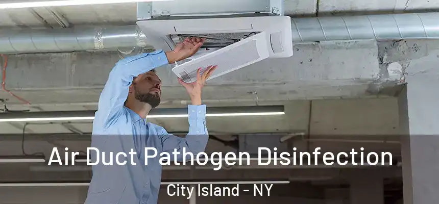 Air Duct Pathogen Disinfection City Island - NY