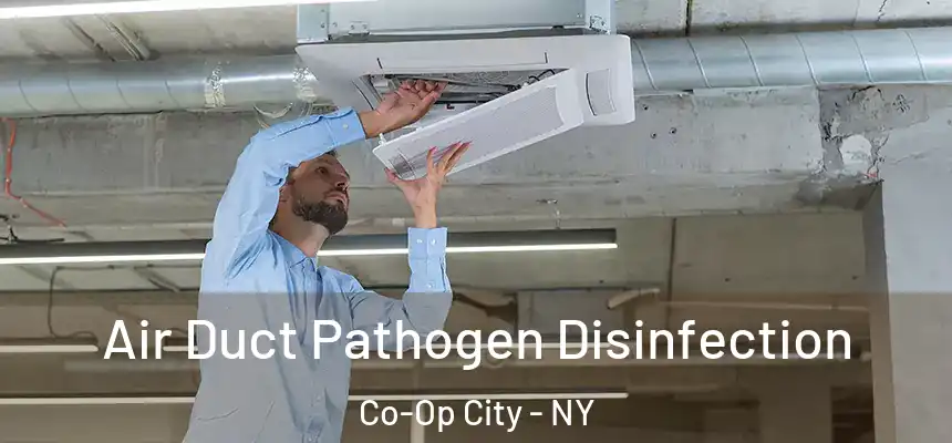 Air Duct Pathogen Disinfection Co-Op City - NY