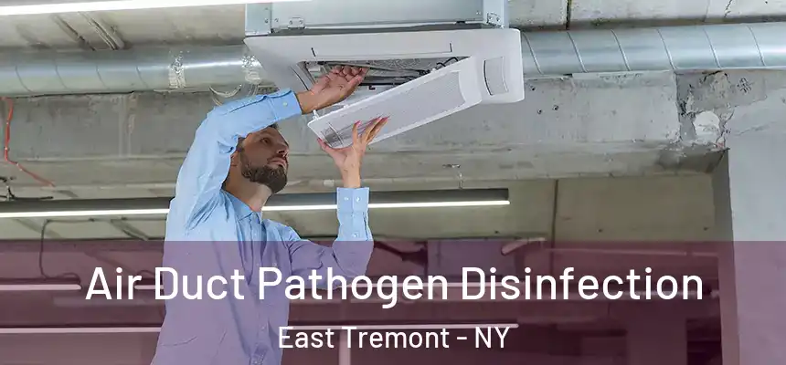 Air Duct Pathogen Disinfection East Tremont - NY