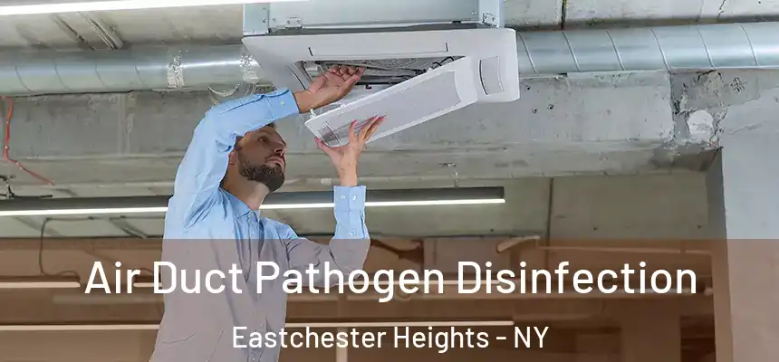 Air Duct Pathogen Disinfection Eastchester Heights - NY