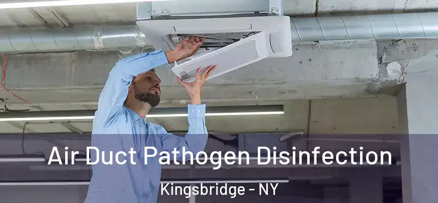  Air Duct Pathogen Disinfection Kingsbridge - NY
