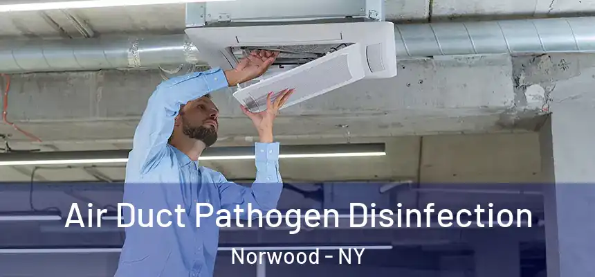  Air Duct Pathogen Disinfection Norwood - NY