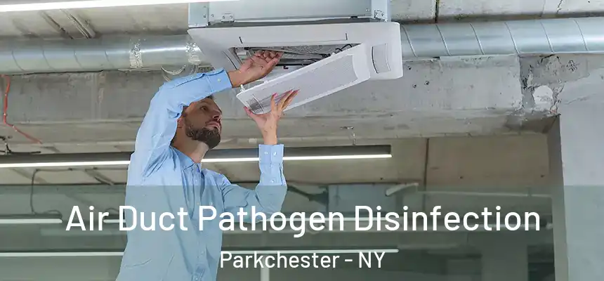 Air Duct Pathogen Disinfection Parkchester - NY