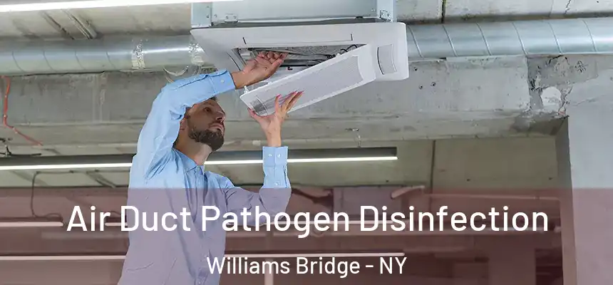 Air Duct Pathogen Disinfection Williams Bridge - NY