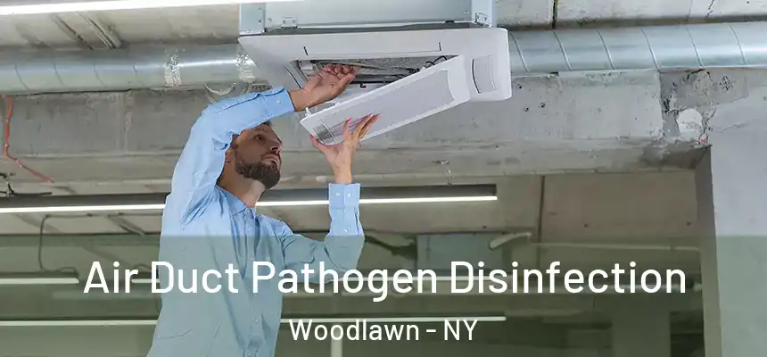 Air Duct Pathogen Disinfection Woodlawn - NY