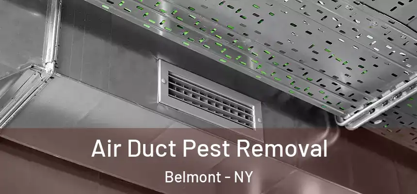  Air Duct Pest Removal Belmont - NY