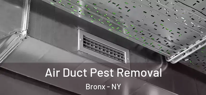 Air Duct Pest Removal Bronx - NY