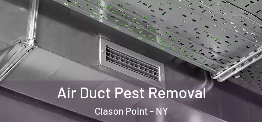 Air Duct Pest Removal Clason Point - NY