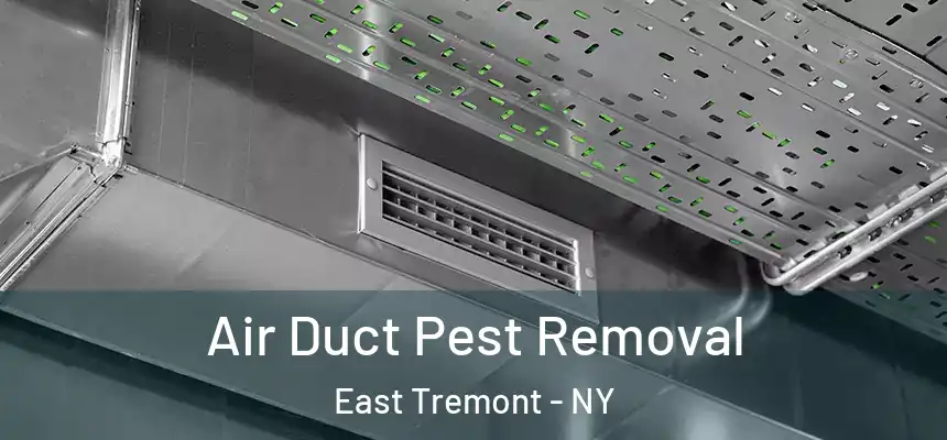  Air Duct Pest Removal East Tremont - NY