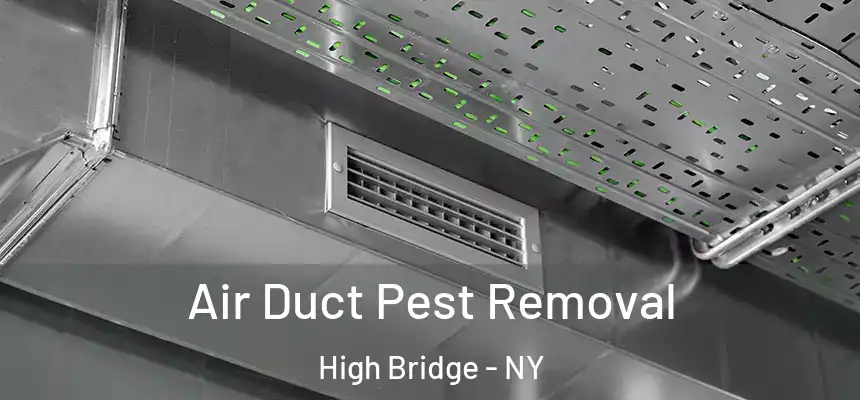  Air Duct Pest Removal High Bridge - NY