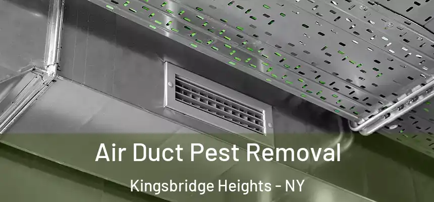 Air Duct Pest Removal Kingsbridge Heights - NY