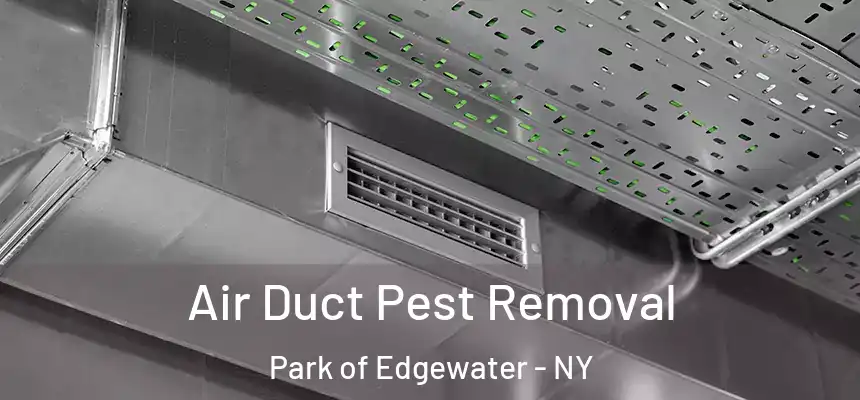 Air Duct Pest Removal Park of Edgewater - NY
