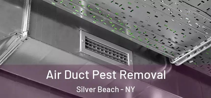 Air Duct Pest Removal Silver Beach - NY