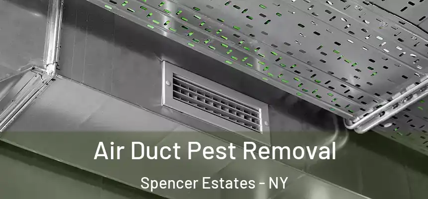 Air Duct Pest Removal Spencer Estates - NY