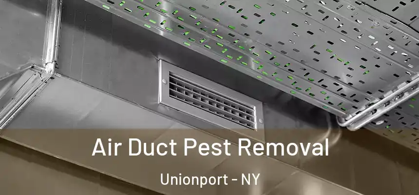 Air Duct Pest Removal Unionport - NY