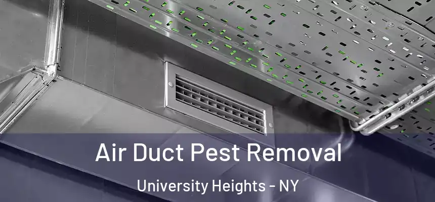 Air Duct Pest Removal University Heights - NY