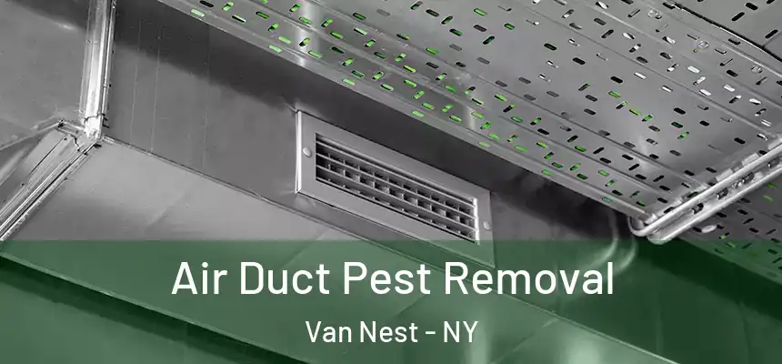  Air Duct Pest Removal Van Nest - NY