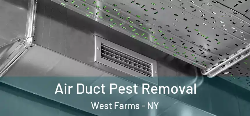 Air Duct Pest Removal West Farms - NY